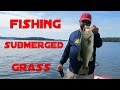 Bass Fishing How To Fish Submerged Grass