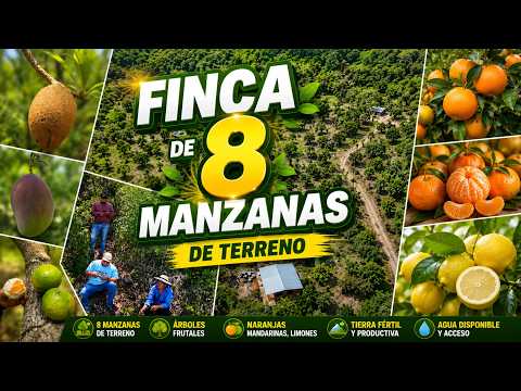 FINCA DE 8 MANZANAS 1/2 EN VENTA, SAN PEDRO NONUALCO, LA PAZ, INVERTA AHORA!!!
