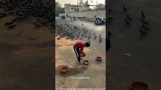 HE TURNED A DUMP YARD INTO A HAVEN OF PEACE #shorts #humanity #kindness #voiceovertamil
