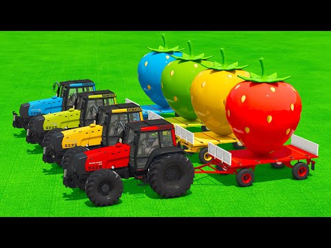 LOAD AND TRANSPORT GIANT STRAWBERRY WITH VALTRA TRACTORS & FORKLIFTS - Farming Simulator 25