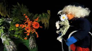 Brian Goss - Gig Video