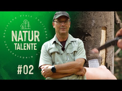 NATURTALENTE Folge 02 I Können und Köpfchen im heimischen Wald!