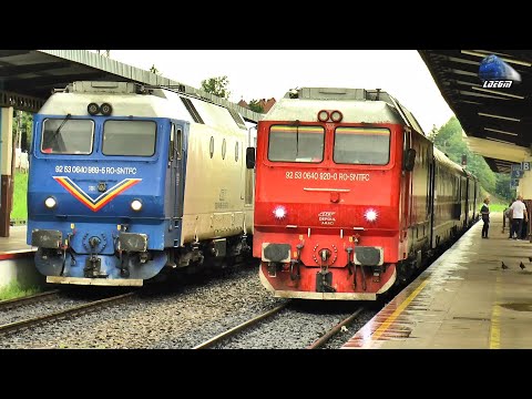 Trenuri & Activitate Feroviară 🚂🚆🚅 Trains & Rail Activity in Gara Oradea Station - 28 Iunie 2024