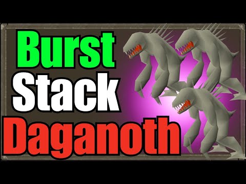 How To Stack And Burst Dagannoth 2025 Quick Guide