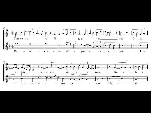 Dufay: Nuper rosarum flores - Gothic Voices