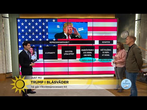 Marcus Oscarsson: "Utan dem kommer Trump aldrig kunna vinna valet" - Nyhetsmorgon (TV4)