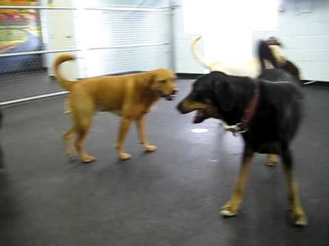 Wilson and Mary Grace