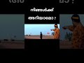 Pingami Movie Fact Sr Facts Shorts
