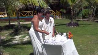 preview picture of video 'Melanie & Denny's Wedding Ceremony - First Dance & Cake'