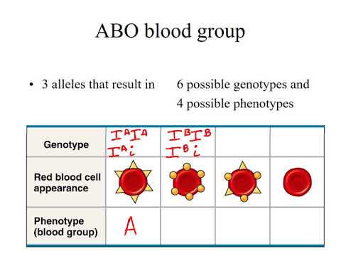 Ch 14 and 15  narrated Extending Mendelian Genetics