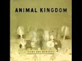 Animal Kingdom - Bright Lights (With Lyrics) 