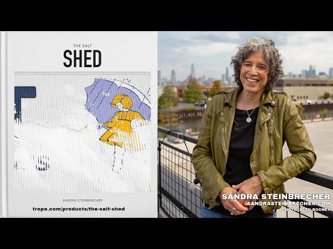 Preservation Snapshots: Sandra Steinbrecher and The Salt Shed