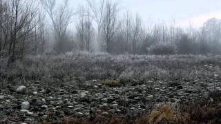 Al Jarreau - Heaven and Earth