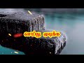Tamil Motivation Whatsapp Status Therindhukollvomtk6505 Tamilmotivationalspeech Tamilmotivational
