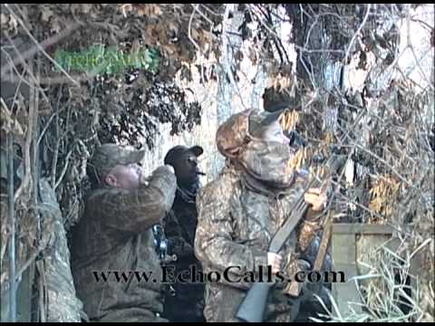 Preserving Our Heritage - Echo Calls Style