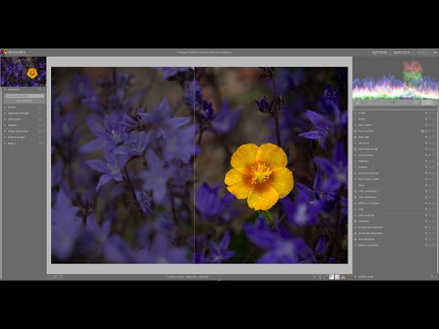 Darktable Episode 40: How to deal with the contrasts in the darktable part one