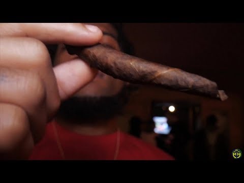 Vibez In the stu W/Lite Fortunato X Naysh Gle X Charley Obama X Zoee X Flyboimel X Max X Spaidz etc