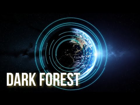 We Made A Deadly Mistake: The Dark Forest Theory
