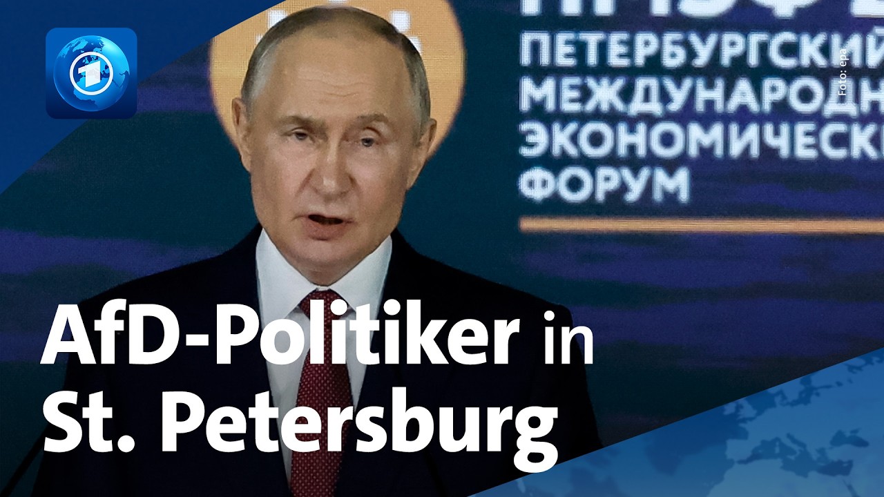 Russisches Wirtschaftsforum: Kritik an Teilnahme von AfD-Politikern und deutschen Unternehmen