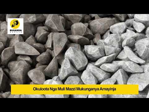 okuloota nga muli mazzi nga mukunganya amayinja agatukula ennyo - Ebirooto Namakulu Gaabyo