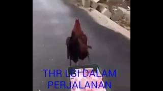 Download lagu Menunggu THR mp3