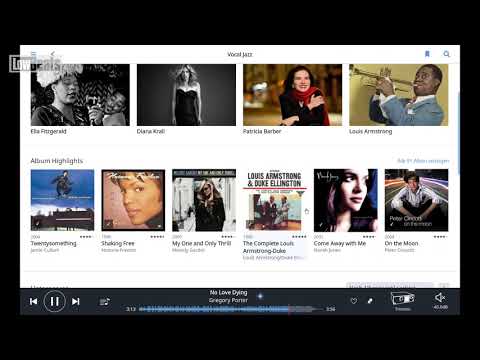 LowBeats Overview: Roon – Part 3/5 (Playeransicht)