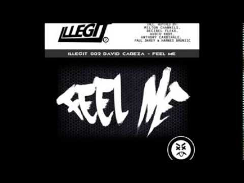 David Cabeza - Feel Me (Decibel Flekx Remix)