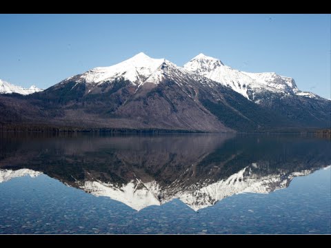 THIS PLACE CAN'T BE REAL