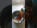 Heinz Beans #beans #breakfast #toast #bread #heinz #youtubeshorts #yummy #healthyfood #shortsvideo