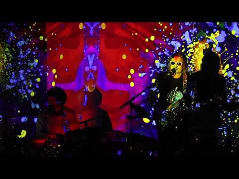 Chum video
