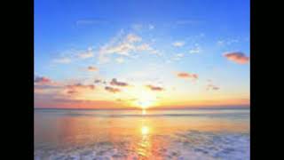 Night  for  Sunshin  ～夜の果てに､､､～
