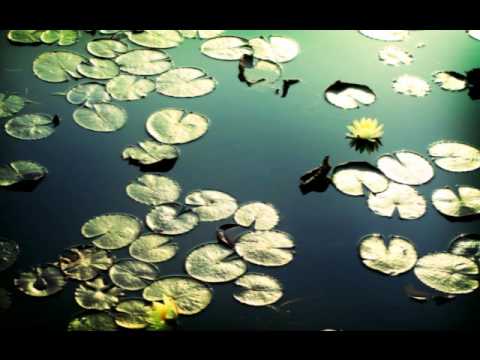 Djali Zwan - Freedom Aint What It Used To Be