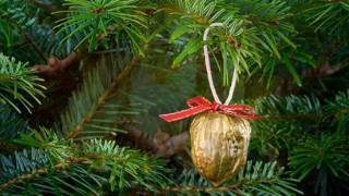 Good Christian Men Rejoice - Red Stockings - The Hills of Ireland