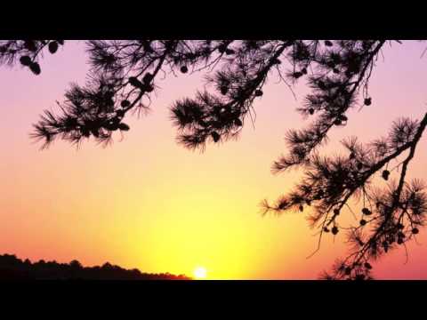 Instrumentale Opwekking met prachtige HD natuurbeelden, deel 3  instrumental worship songs