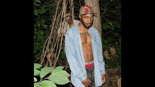 JPEGMAFIA - Communist Slow Jams [Full Album]