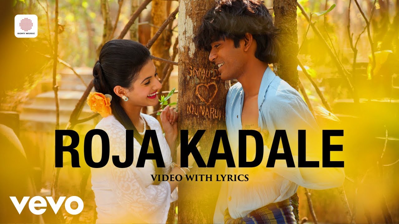 Anegan - Roja Kadale Video With Lyrics | Dhanush, Amyra Dastur | Harris Jayaraj