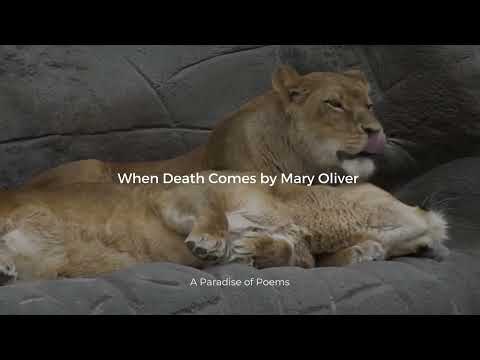 When Death Comes by Mary Oliver
