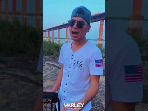SÓ FINGI - DJ Ivis e Eric Land (Cover Warley do Piseiro) #piseiro #shorts #nordeste #forró