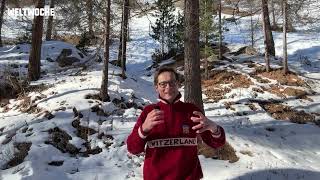 Siehe, die Welt ist nicht verdammt! Rückblick und Ausblick zum Jahresende