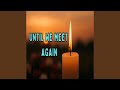 Until We Meet Again