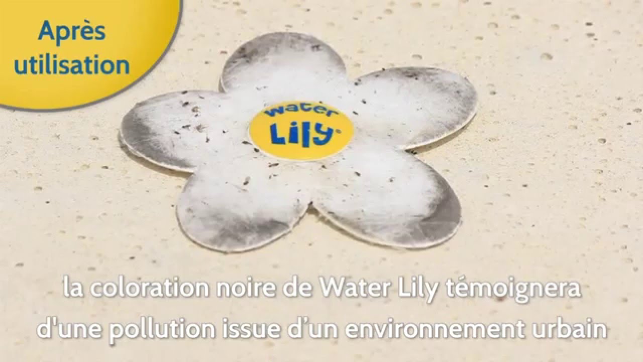 Water Lily - Absorbant de corps gras Water Lily - Absorbant de corps gras