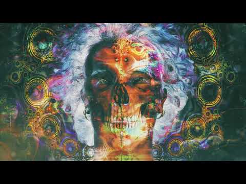 Terence McKenna - Whistling Past the Graveyard