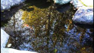 "Ratatouille Main Theme" by Michael Giacchino