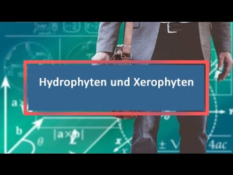 Hydrophyten und Xerophyten