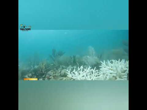 Madibikonya Loyo Lweny By Mary Gorrety