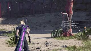Final Fantasy Vll REBIRTH