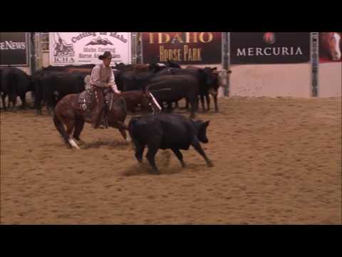 Hay U and Kade Smith Non Pro Mercuria Champions 2016 Idaho Futurity