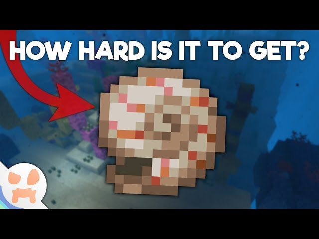 What Does The Nautilus Shell Do In Minecraft How rare are nautilus shells in Minecraft 1.19 update?