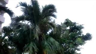preview picture of video '台風5号 in 沖縄 Typhoon 201105 (Meari) in Okinawa'