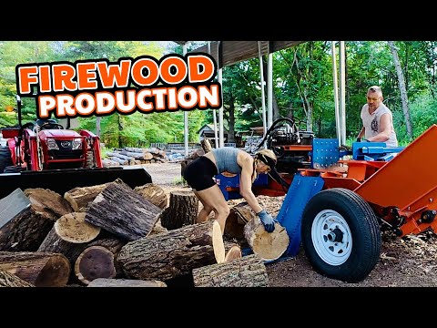 Firewood Production Run - Boiler Wood for the Bunker